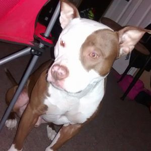 Meet your Posher, Monroe soundview jkb